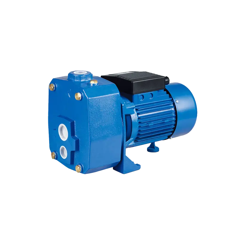 ปั๊มน้ำเจ็ทท่อคู่ HG-DP-750A